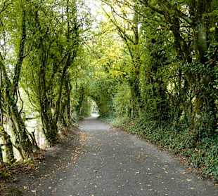 Bunratty Castle and Folk Park