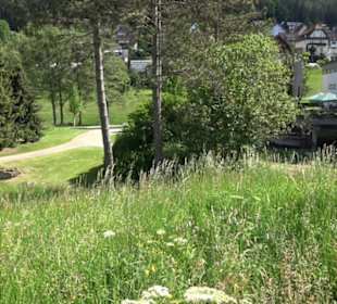 Freibad Klosterreichenbach