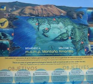 Amarilla Bucht