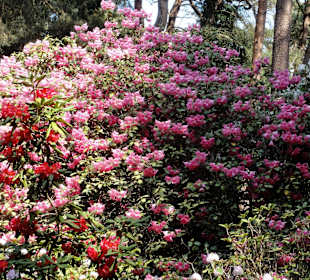 Impressionen vom Rundweg durch den Park