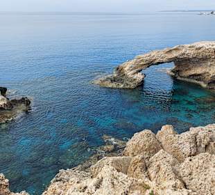 Ayia Napa Bogen Monachus Monachus