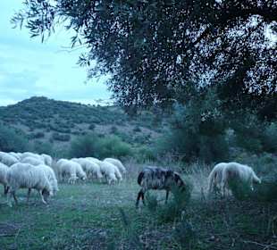 Landschaft Sardinien