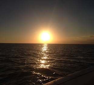 Ausflug Saona mit Ralf