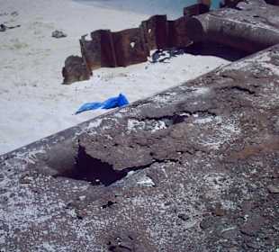 Barrakuda -Landausflug-Anleger des Grauens