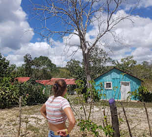 Tour & Ausflug Bayahibe