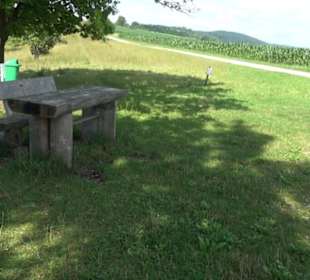 Wacholderheide Hoher Stein