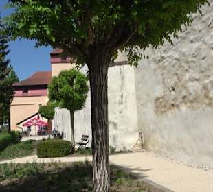 Rosengarten Nördlingen