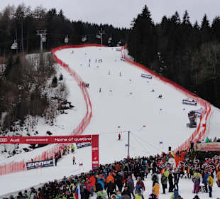 Blick auf den Zielhang