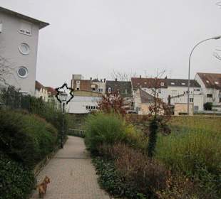 Altstadt Germersheim