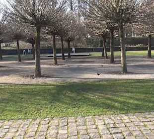 Wasserschloss Haus Rodenberg