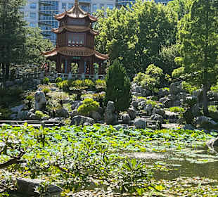 Impressionen aus dem chinesischen Garten