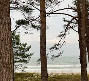 Strand Binz auf Rügen