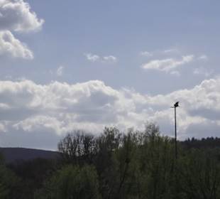 Sport- und Freizeitpark Markwasen