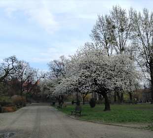 Park Stanisława Tołpy