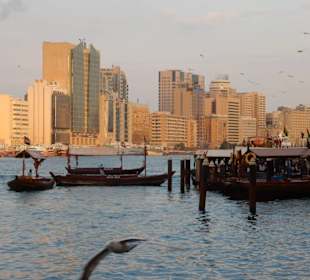 Unterwegs auf dem Creek