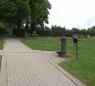 Friedhof