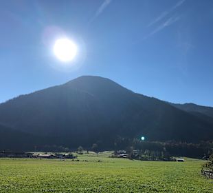 Wallberg