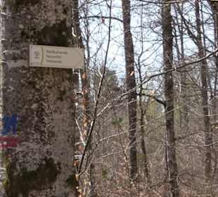 Fäulbachtal