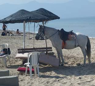 Strand Pamucak