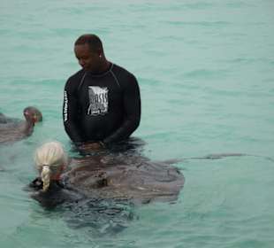 Schnorcheln und Stachelrochen auf GRAND TURK