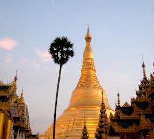 Шведагон.