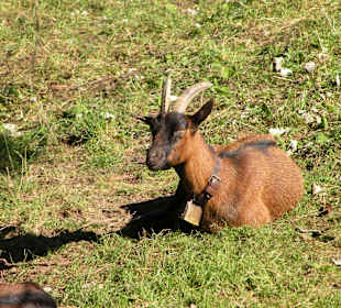 Wandern Bad Hindelang