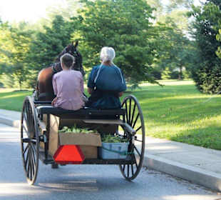 Mit dem Buggy unterwegs