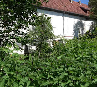 Fruchtkasten Magolsheim