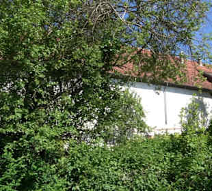 Fruchtkasten Magolsheim