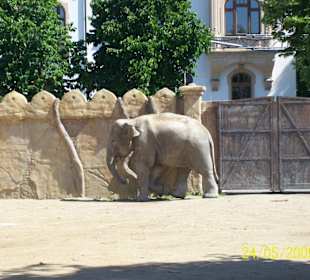 Majestätisch