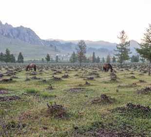 Gorkhi-Terelj National Park