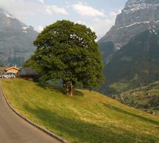 Wege direkt vom Ort aus 