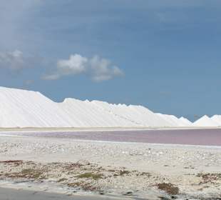 Ausflug "Esel" - hier Salzbergen