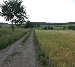 Schutzgebiet Spitzberg, Pfaffenberg