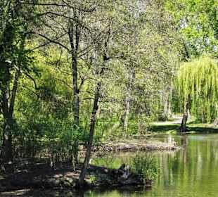 Eindrücke aus dem Braunschweiger Bürgerpark