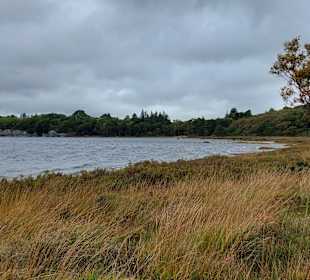Killarney National Park