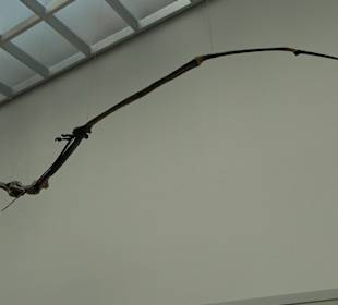 Staatliches Naturkunde Museum