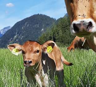 Wandern Sankt Pankraz