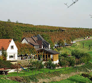 Blick auf die Terrasse und Wintergarten