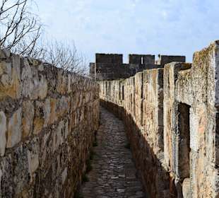 Die Stadtmauer