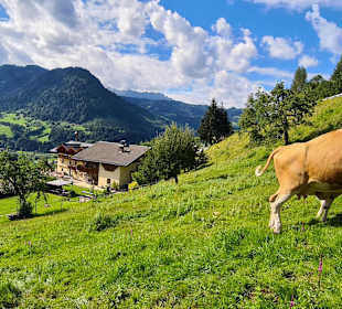 Wandern St. Johann im Pongau