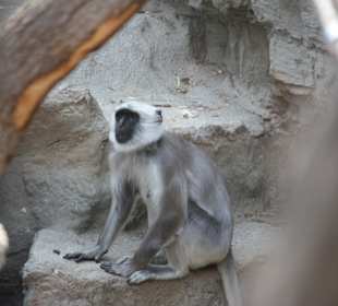 ZOOM Erlebniswelt Gelsenkirchen