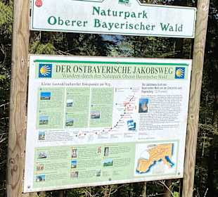 Wandern Hohen Bogen Neukirchen