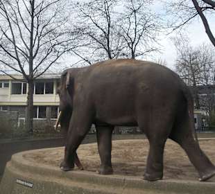 ZOO Berlin