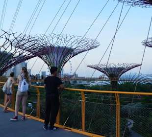 Gardens by the Bay