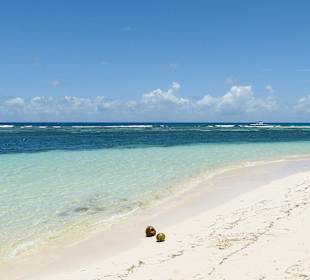 Saona Crusoe VIP Tour