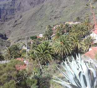 Masca Schlucht in Masca