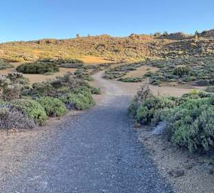 Teneriffa Tour Teide-Nationalpark