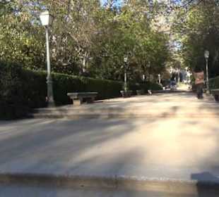 Real Jardín Botánico de Madrid