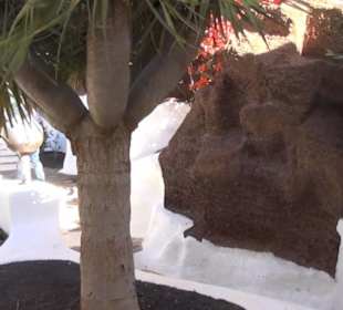 Museo Lagomar